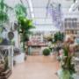 Gallery Professionale