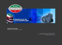 Motori Pavesi Di Pavesi Riccardo