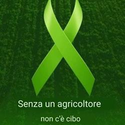 Società Semplice Az. Agricola Facchino
