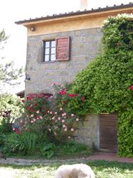 Solidor Azienda Agricola Di Andi Lorenzo