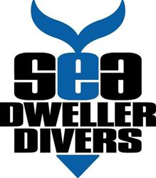 Sea Dweller Divers
