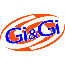 Gi&GI Group