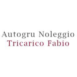 Autogru Noleggio Tricarico Fabio