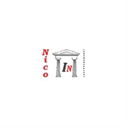 Nico Controsoffitti