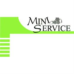 Mini Service Sas