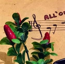 Circolo Culturale E Gastronomico Cantautori Liguri O Chi O A Ca Toa