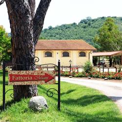 Fattoria Miani