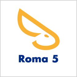 Solo Affitti - Roma 5