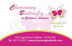 Charming Butterfly