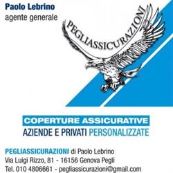 Pegliassicurazioni Di Lebrino Sebastiano