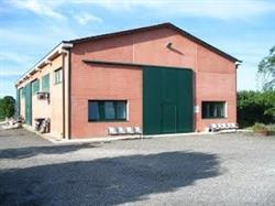 Azienda Agricola dei Conti