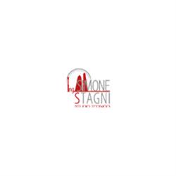 Ing. Simone Stagni
