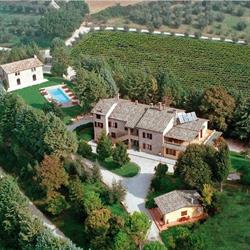 Podere Caldaruccio "la Pineta" (di Michele Ravano)