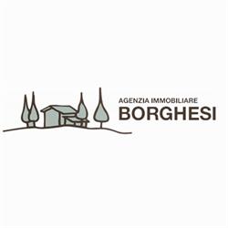 Agenzia Immobiliare Borghesi di Borghesi Denise sas