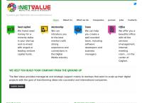 Sito di The Net Value Srl