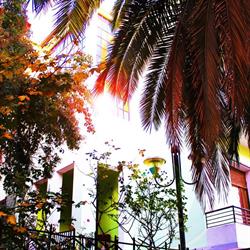 Studio Legale Diaz