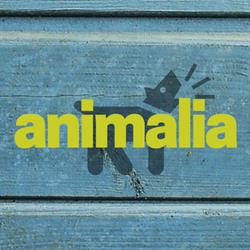 Animalia - Toelettatura Napoli- Vendita alimenti accessori-Cuccioli