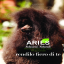 catalogo_aries_forbici