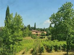 Fattoria Santa Lucia