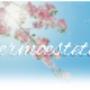 Dermoestetica