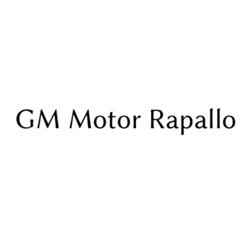 Gm Motor