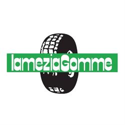 Driver Pneumatici & Assistenza