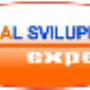 Expert