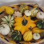 CESTINO DELLE NOSTRE ZUCCHE ORNAMENTALI