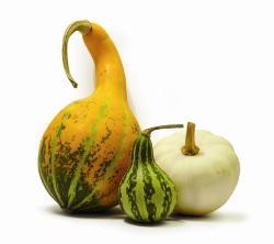 Degano Zucche