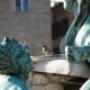 Nettuno Firenze