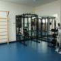 La palestra
