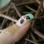 NAIL ART 3D (particolare)