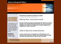 Manganelli Massimo Group