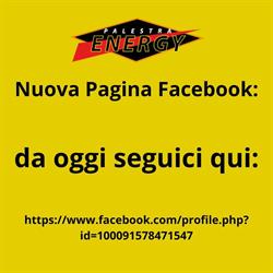 Palestra Energy