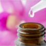 Scent Company Fragrances