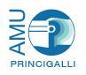 Amu Princigalli SRL