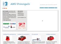 Sito di Amu Princigalli SRL