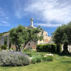 Relais Masseria Sant'Elia