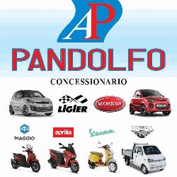Pandolfo Aurelio