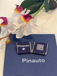 PINAUTO BMW Service