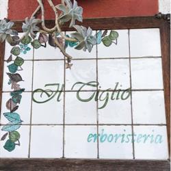 Erboristeria Il Tiglio