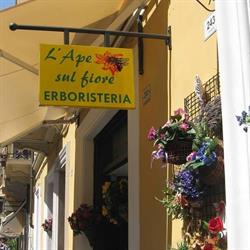 L'ape Sul Fiore