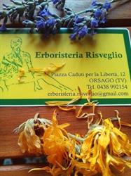 Erboristeria Risveglio