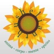 Helianthus