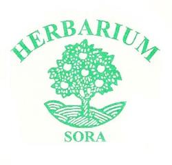 Herbarium di Paolacci Maria Gabriella