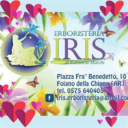 Iris Erboristeria
