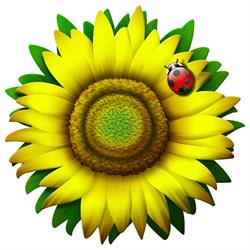 Il Girasole