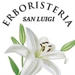 Erboristeria San Luigi