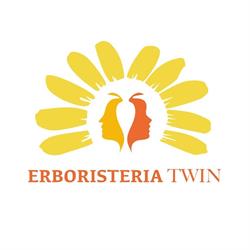 Twin