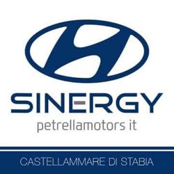 Sinergy S.r.l.